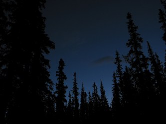 New Moon